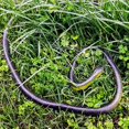 thumbnail image 2 of Juguete para niños, simulación de serpiente, truco de serpiente, gran serpiente verde, goma suave, gran serpiente falsa, modelo animal, accesorios de truco, 2 of 6