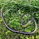 thumbnail image 5 of Juguete para niños, simulación de serpiente, truco de serpiente, gran serpiente verde, goma suave, gran serpiente falsa, modelo animal, accesorios de truco, 5 of 6