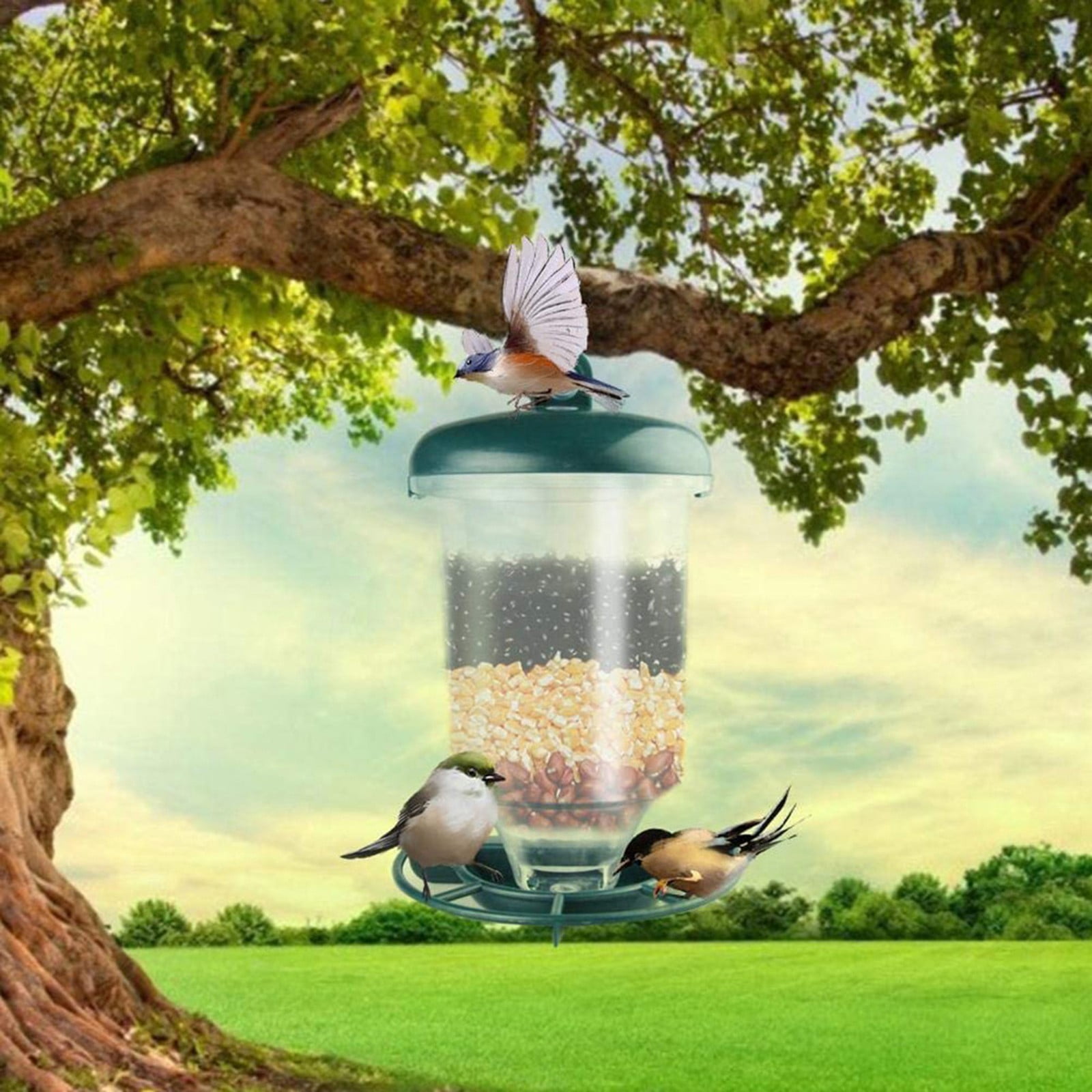 4 Packs Clear Acrylic Window Bird Feeder with Strong Suction Cups Squirrel Proof Outdoor Bird Watching for Kids Pets Wild Birds Garden