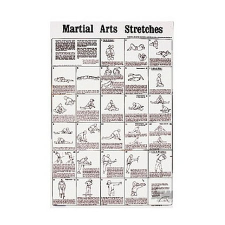 - Martial Arts Stretches Poster