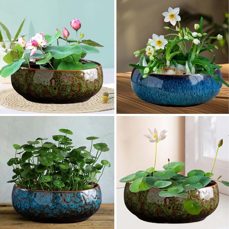 Lotus Bowl Planter, Lotus Bowls for Planting in Water Indoors,Bonsai Bowl  Lotus Flower Seeds, Ceramic Planters for Indoor Plants, Applicable to  Hydroponic Plant(Kiln Turning Green,1PC) - Walmart.com