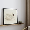 thumbnail image 3 of HFDF Canvas Prt Wall Art Elegant Swan Repose Vtage Watercolor Classic Nature Wilderness Illustrations Rustic Zen Colorful for Livg Room, Bedroom, Office -Black 20x16inch Framed, 3 of 6