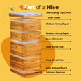 thumbnail image 2 of Kit de colmena BEEKNOWS de 10 cuadros Langstroth con 2 cajas profundas y 2 medias, 2 of 6