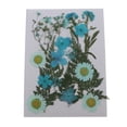 thumbnail image 2 of 22x flores secas reales naturales Baoblaze tarjetas hechas a mano decorativo colgante 14x10cm azul, 2 of 8