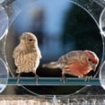 thumbnail image 2 of 2X Window Bird Feeders with Strong Suction Cups, Clear Bird Feeder Bird House with 2 Compartment Removable Tray, 2 of 7