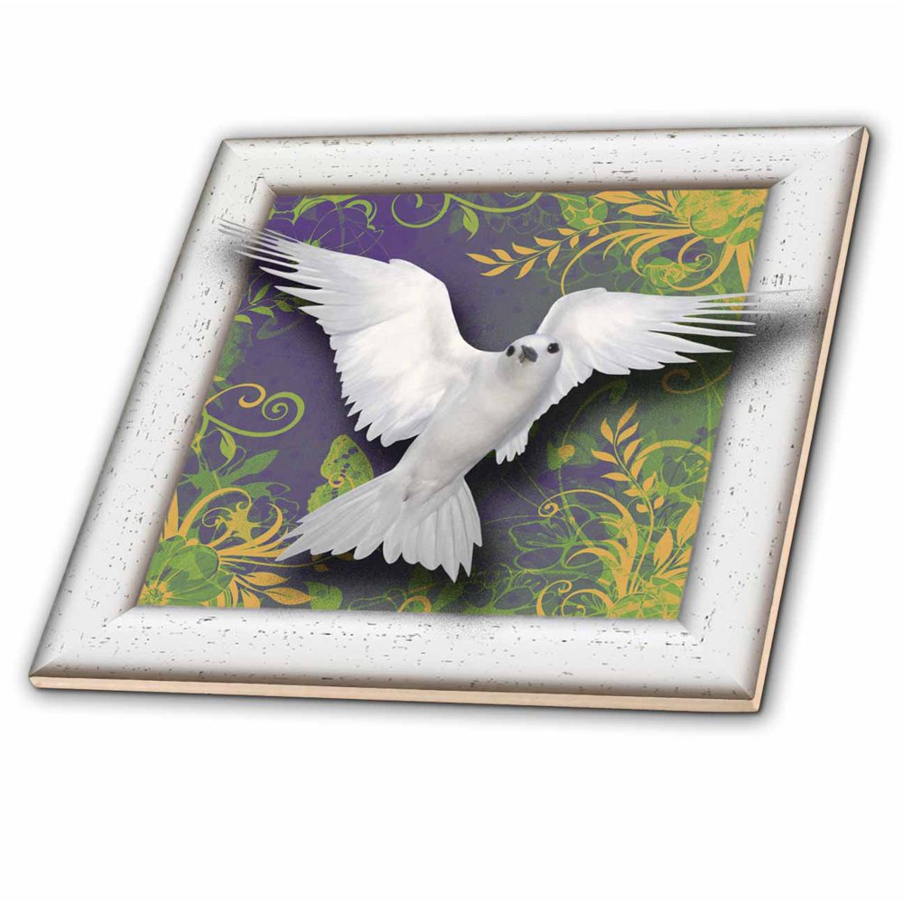 3dRose Beautiful white dove framed art with tapestry gradient