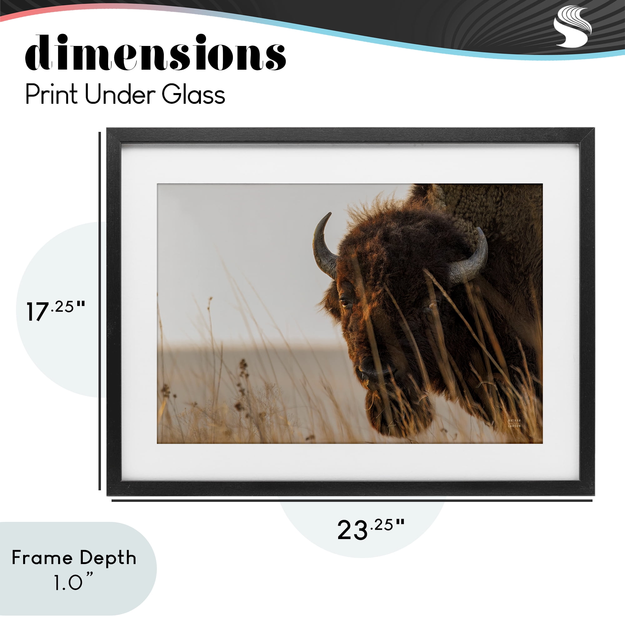 Stupell Industries Bison Sunset on Golden Prairie Black Framed Print Under Glass, design by Nathan Larson