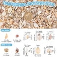 thumbnail image 2 of Natural Sea Shell Beads Kits Spiral Shell Cowrie Shell Trumpet Shell Ark Shell Snail Shell Seashell Color 7~40x3~22x3~15mm 175g/box, 2 of 6
