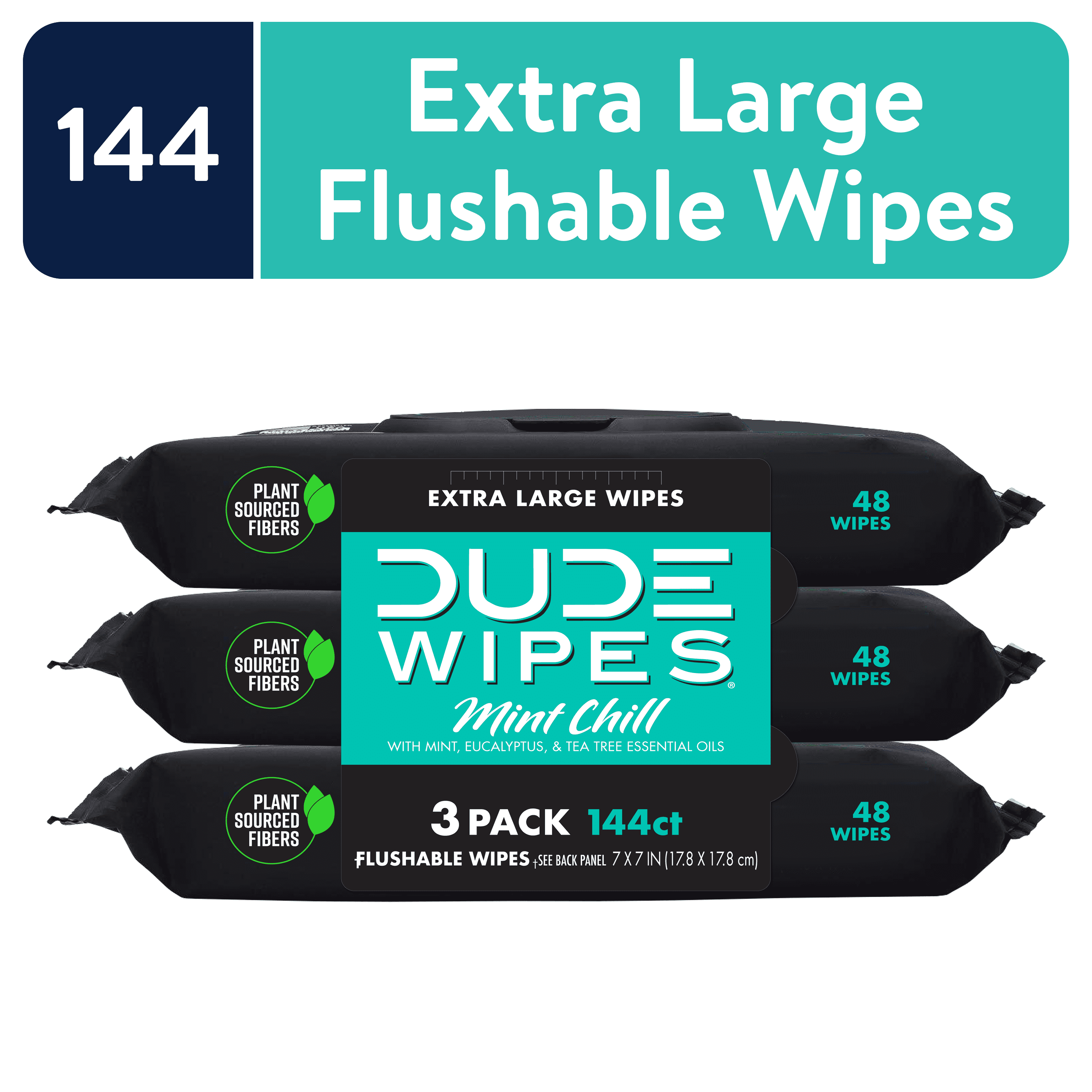DUDE Wipes Flushable Wipes, Mint Chill XL Wet Wipes to Use with Toilet Paper, 48 Ct, 3 Pack