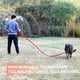 thumbnail image 5 of Nylon Training Dog Leash For Small Medium Large Dogs, Dog Leash Dog/puppy Lead For Obedience Recall Training, Camping, 5 of 5