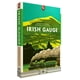 thumbnail image 1 of Juego de mesa Capstone Games Irish Gauge Strategy para 3-5 jugadores, 1 of 9