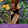 thumbnail image 4 of ScentSationals Water-Based Reed Diffuser - Cedar & Lavender - 5 FL OZ Aromatherapy Reed Diffuser, 4 of 7