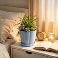 thumbnail image 5 of 6 Inch Plastic Plant Pots, 1pc Flower Pots,Planters with Drainage Holes & Saucers, Indoor Outdoor Garden Pots for Home Decor, 5 of 6