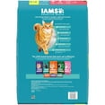 thumbnail image 3 of Iams Proactive Health Salmon Dry Cat Food, 16 Lb Bag, 3 of 9