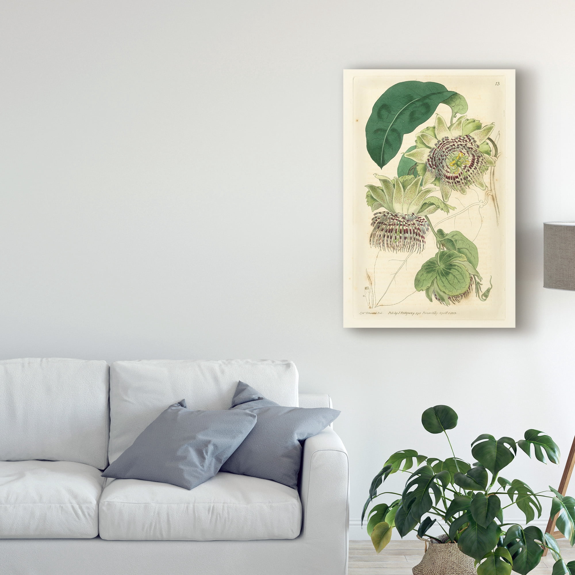 Trademark Fine Art 'Antique Passionflower II' Canvas Art by M. Hart