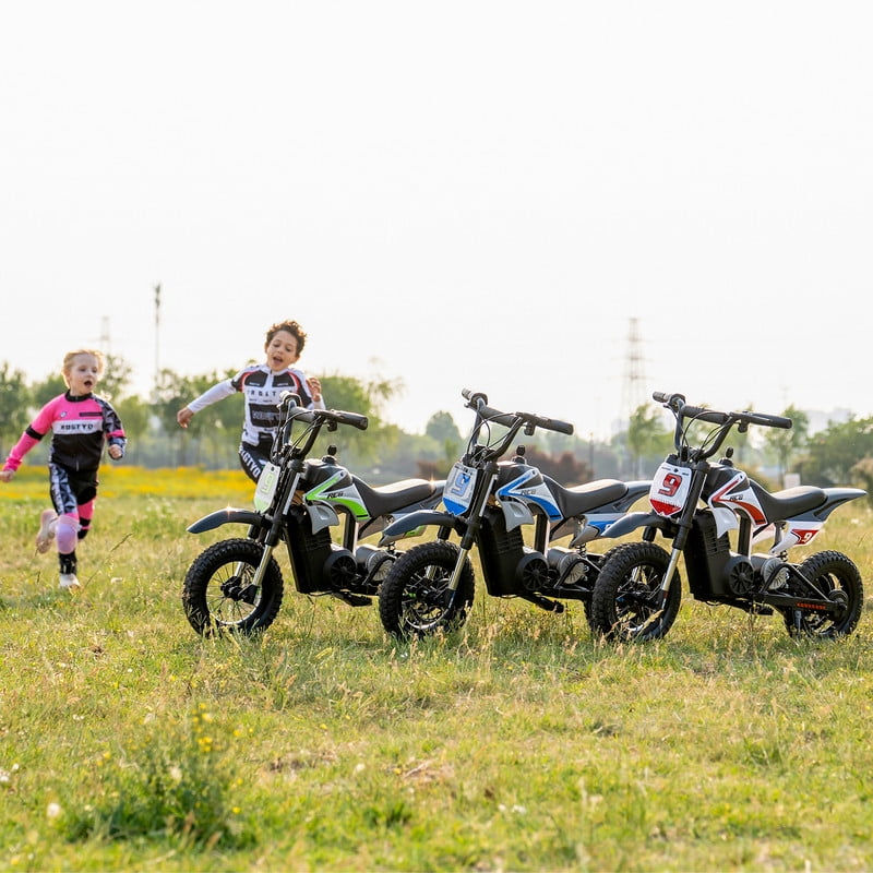 RCB R9XPro 36V Electric Dirt Bike for Kids,350W Electric Motorcycle,3 Speeds up to 15.5mph,10-mile Range,Ages 5+, Blue