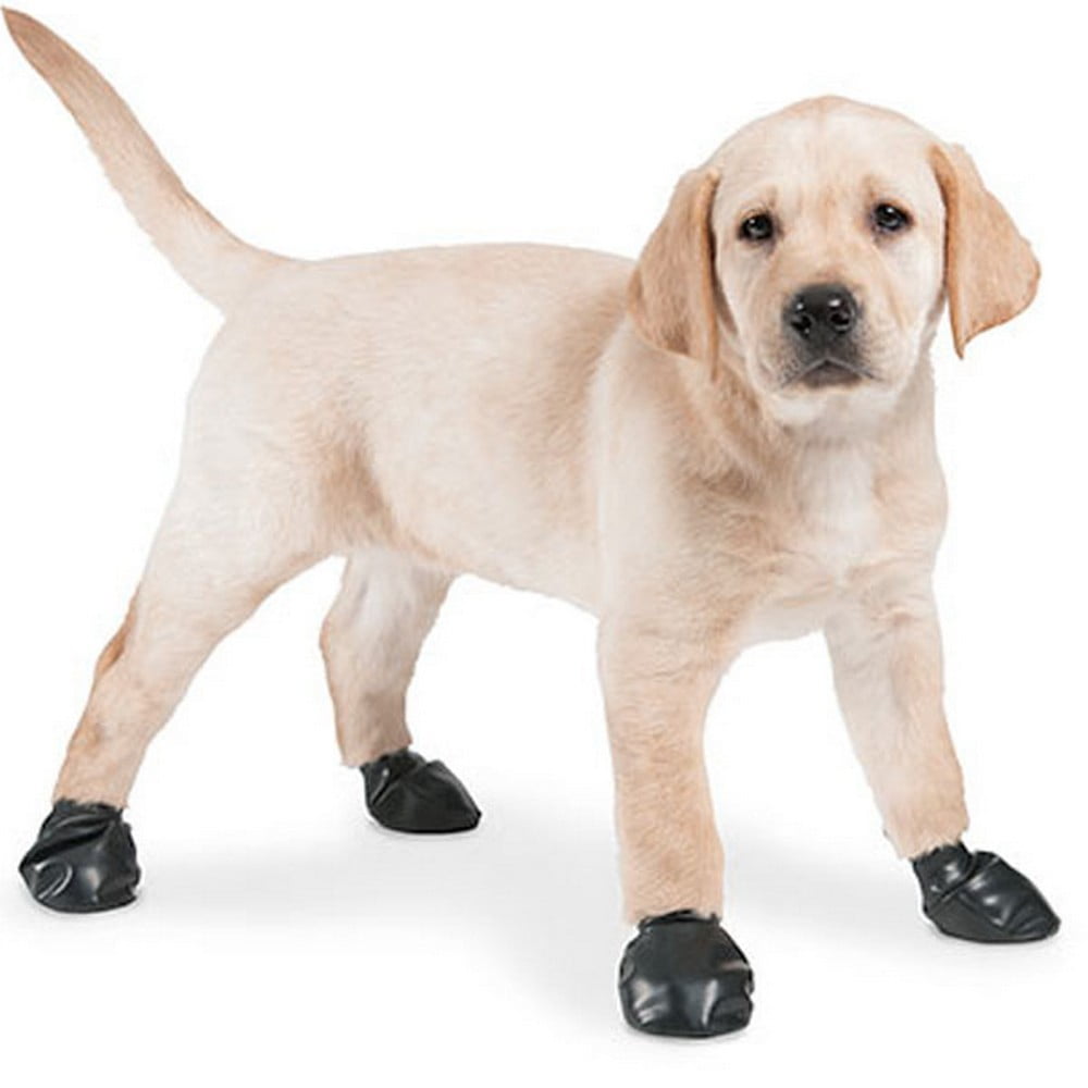 black dog boots
