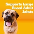 thumbnail image 3 of Pedigree Large Breed Dry Dog Food Roasted Chicken Rice and Vegetable Flavor 40 lb Bag, 3 of 8