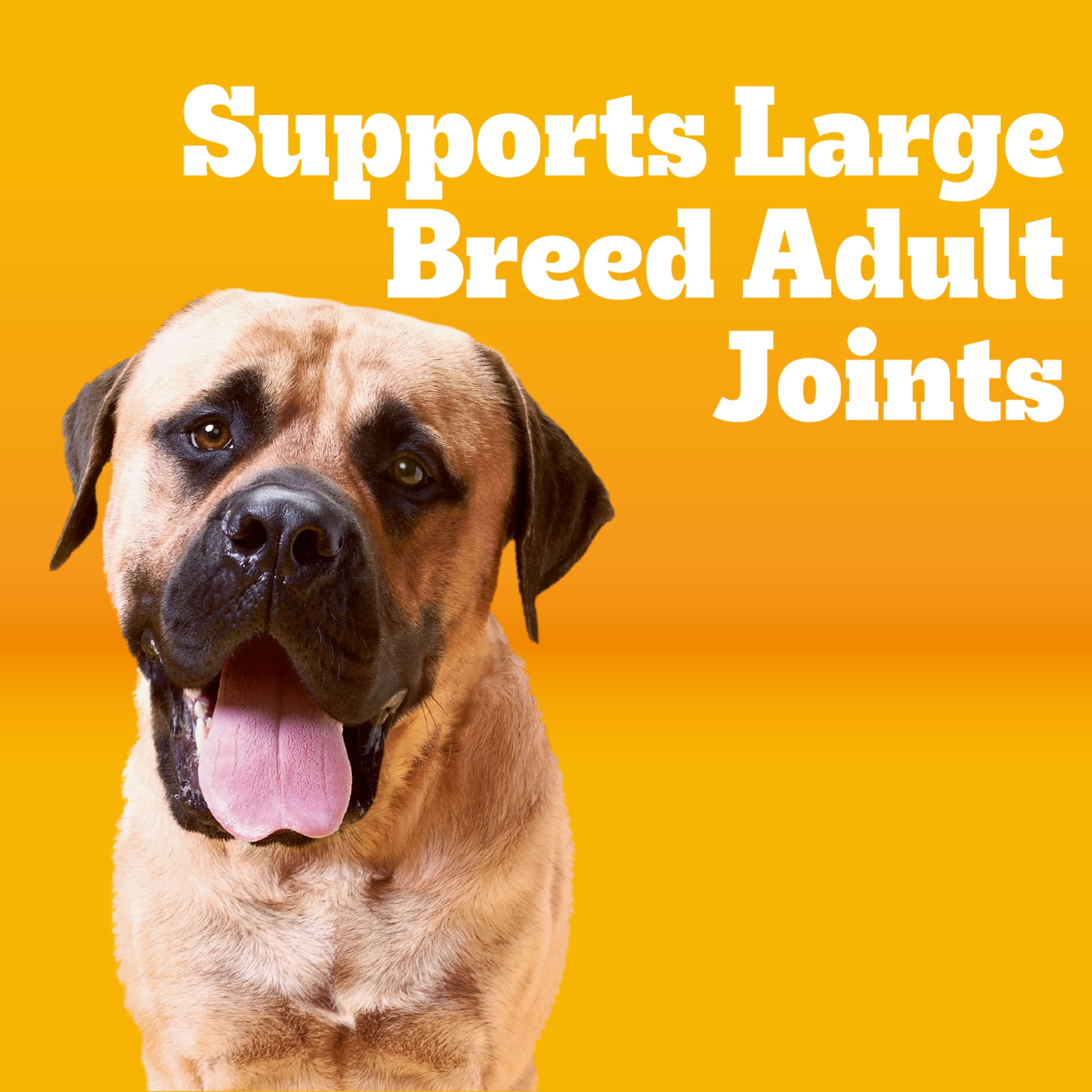 Pedigree Large Breed Dry Dog Food Roasted Chicken, Rice & Vegetable, 40 Lb photo 3