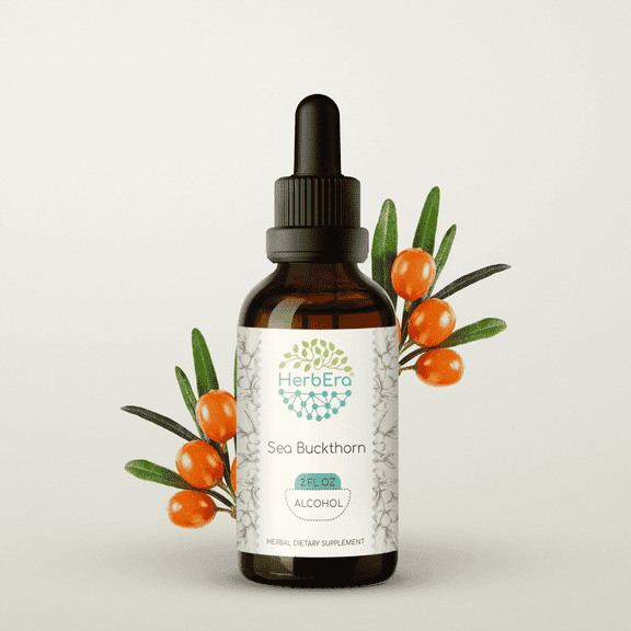 HerbEra Sea Buckthorn Tincture, Herbal Dietary Supplement for Skin and Immune Support, Sea Buckthorn (Hippophae rhamnoides) Dried Fruit Extract, Natural, Alcohol Tincture, Drops 2 oz