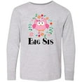 thumbnail image 3 of Inktastic Big Sis Girls Sister Announcement Long Sleeve Youth T-Shirt, 3 of 5
