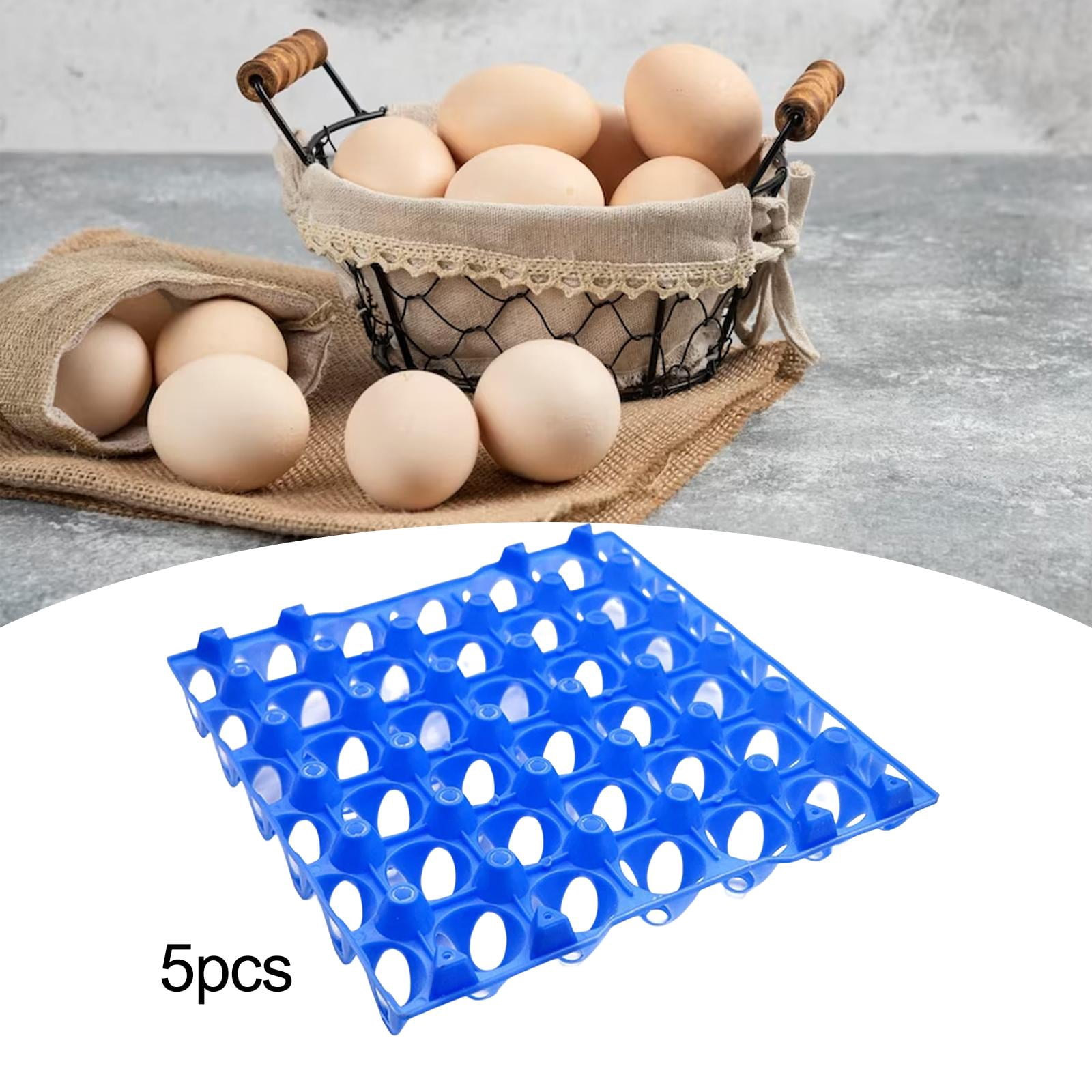 Nishiyuenyi 30 Grid Egg Tray Cabinet Egg Storage Container Egg Holder for Refrigerator 10pcs 5pcs Blue