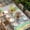 Green Pink Blue, variant on Easter Bunny Gnomes Table Cloths for 8 Foot Rectangle Tables, Spring Easter Eggs Floral Blue Plaid Patio Waterproof Elastic Fitted Tablecloths, Washable Rectangular Table Cover for Camping
