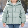 thumbnail image 3 of DJDLJWCJ Girls Down Puffer Jacket Winter Warm Hooded Coat Solid Color Thickened Full Zip Coats Light Blue Size 4T, 3 of 6