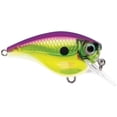 thumbnail image 2 of Rapala BX Brat 06 Crankbait Change Up, 2 of 6
