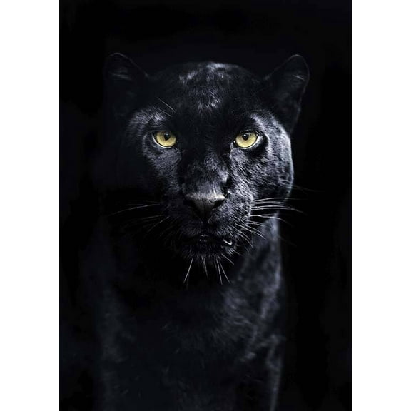 Panther Print Wall Art, Modern Wall Decor For Living Room Bedroom, 8x12 UNFRAMED