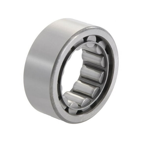 Rear Wheel Bearing - Compatible with 1997 - 2020 Ford F-150 1998 1999 2000 2001 2002 2003 2004 2005 2006 2007 2008 2009 2010 2011 2012 2013 2014 2015 2016 2017 2018 2019