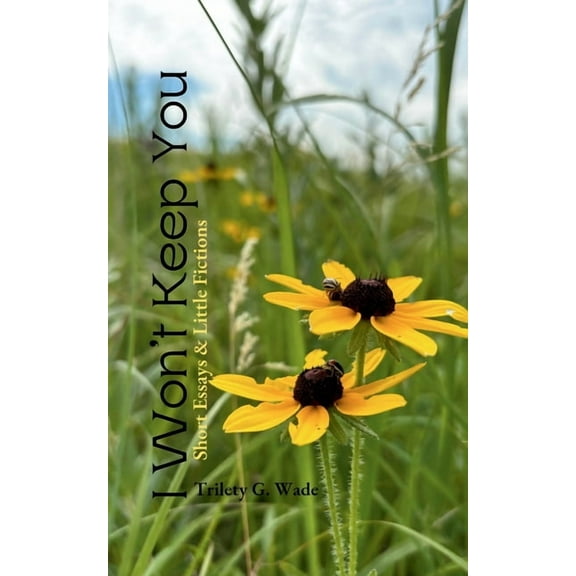 I Won't Keep You: Short Essays & Little Fictions, (Paperback)