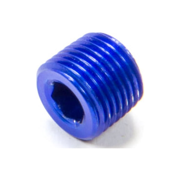 1/8 MPT Allen Pipe Plug