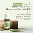 thumbnail image 6 of Pranarom USDA Certified Organic Rose Geranium Essential Oil (15ml), 100% Pure Undiluted Therapeutic Grade from Madagascar for Aromatherapy, Diffuser, Skincare, Relaxation, Pure Rose Scent, 6 of 7