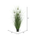 thumbnail image 3 of Vickerman 60" Artificial Potted Green Straight Grass and Cattails., 3 of 3