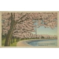 thumbnail image 2 of Unknown 24x17 White Modern Wood Framed Museum Art Print Titled - Wash. Monument and Cherry Blossoms, 2 of 4