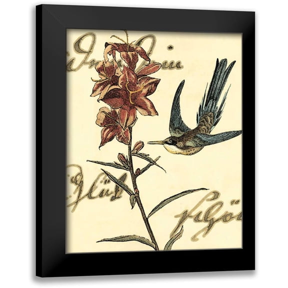 Vision Studio 12x14 Black Modern Framed Museum Art Print Titled - Small Hummingbird Reverie IV