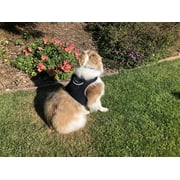 Pet Tracker Advanced Waterproof Realtime Mini Pet Finder Best Pet Tracker Size:S