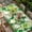 Green LawnGreen Beige, variant on St. Patrick's Day Table Cloths for 5 Foot Rectangle Tables, Lucky Shamrocks Spring Leaves Plants Patio Waterproof Elastic Fitted Tablecloths, Washable Rectangular Table Cover for Camping