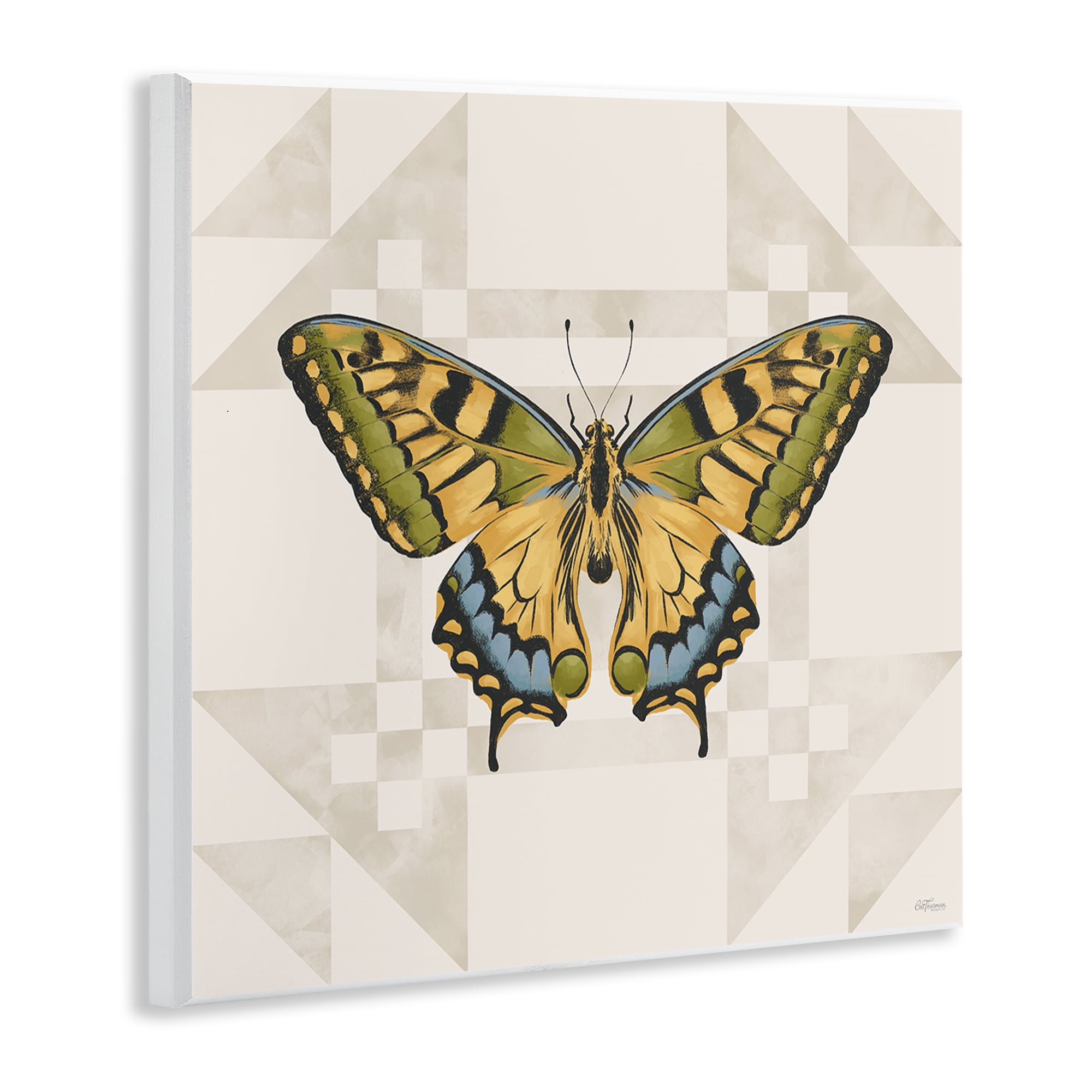 Stupell Industries Green Swallowtail Butterfly Wall Plaque Art, design by Cat Thurman Designs