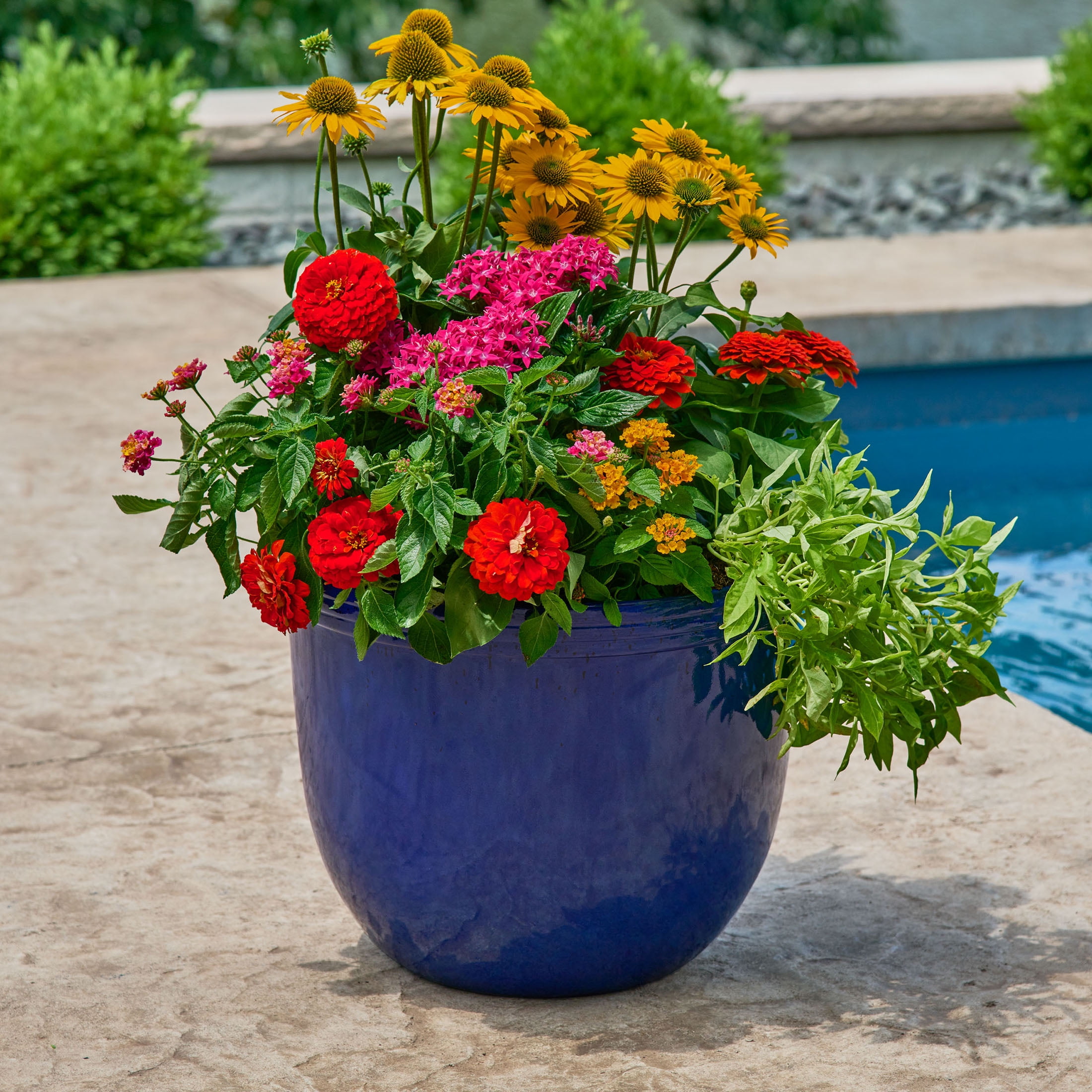 (4 pack) Better Homes & Gardens Round Meadow Planter 16 Inch Blue Glazed Finish