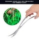 thumbnail image 5 of Tijeras de acero inoxidable herramientas de limpieza Tijeras para plantas acuáticas pinzas rectas para peceras acuarios paisajes acuáticos estanques de plantas acuáticas ANGGREK Otros, 5 of 8