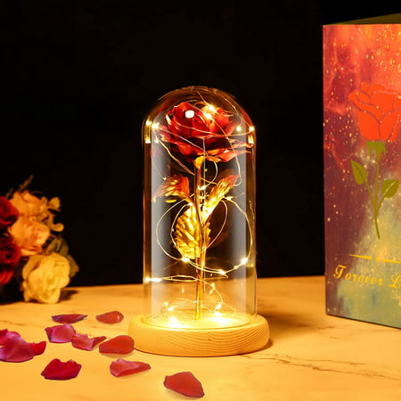 La Belle et la Bête Rose, Rose Éternelle sous Cloche en Verre avec Lumières  LED Base