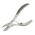 thumbnail image 2 of Tooth  Piglets Tooth  Livestock Tooth  Stainless Steel Ball Spring Tooth  Scissors Teeth Cut For Piglets Livestock Breeding Equipment, 2 of 8