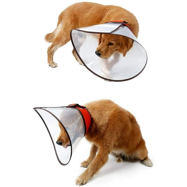 Dog cone collar near me cheap