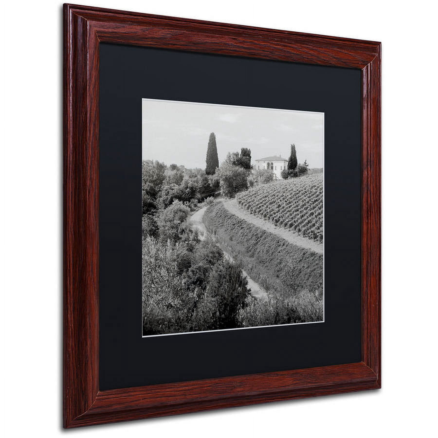Trademark Fine Art "Tuscany V" Canvas Art by Alan Blaustein, Black Matte, Wood Frame