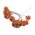 thumbnail image 2 of ShaoXinWan LED Maple Leaf Light String, Five Color Warm White Thanksgiving Christmas Decoration Lights, Iron Autumn Fall Fairy Lights for Party Tree Mantel Indoor Decor, 2 of 6