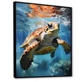thumbnail image 2 of Designart "A Tranquil Dream Featuring A Turtle I" Animals Turtle Floater Framed Canvas Art Print, 2 of 5