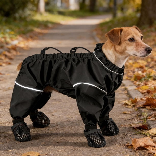 Pantalones de nieve para perros, zapatos, protector de patas para mascotas, botas con tirantes para perros, leggings para patas para correr sobre Negro 2XL