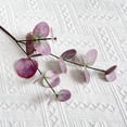 thumbnail image 5 of Dienrx Artificial Burgundy Eucalyptus in Glass Vase with Fake Water, 49Cm Tall Greenery Plant for Coffee Table, Bathroom, Farmhouse Wedding, and Home Decor Centerpiece, 5 of 5